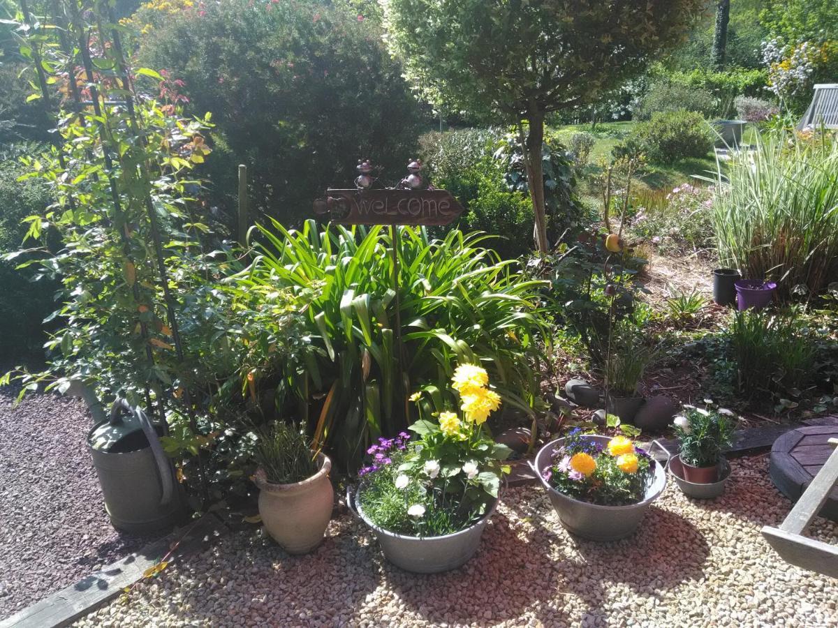 Les Muscaris Bed & Breakfast Le Minihic-sur-Rance Exterior foto
